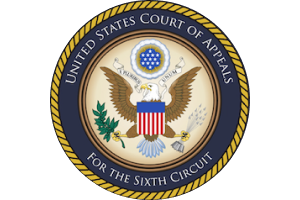 United States Court of Appeals / For the Sixth Circuit